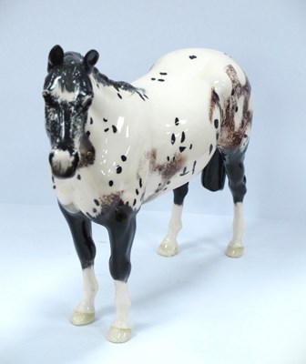 Lot 1244 - Beswick Appaloosa Stallion Horse, black back...