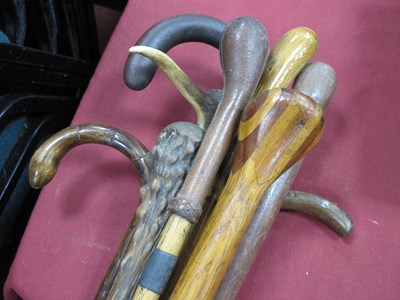 Lot 1361 - Nine Various Walking Canes, including horn,...