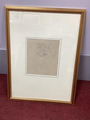 Lot 1168 - CIRCLE OF LOUIS WAIN Study of a Kitten, pencil,...