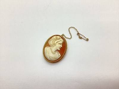 Lot 200 - A 9ct Gold Oval Shell Carved Cameo Brooch,...