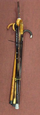 Lot 1411 - Seven Various Walking Canes/Sticks.