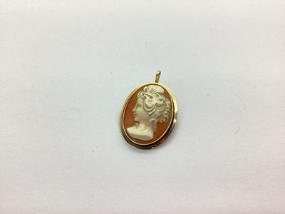 Lot 242 - An Oval Shell Carved Cameo Brooch / Pendant,...