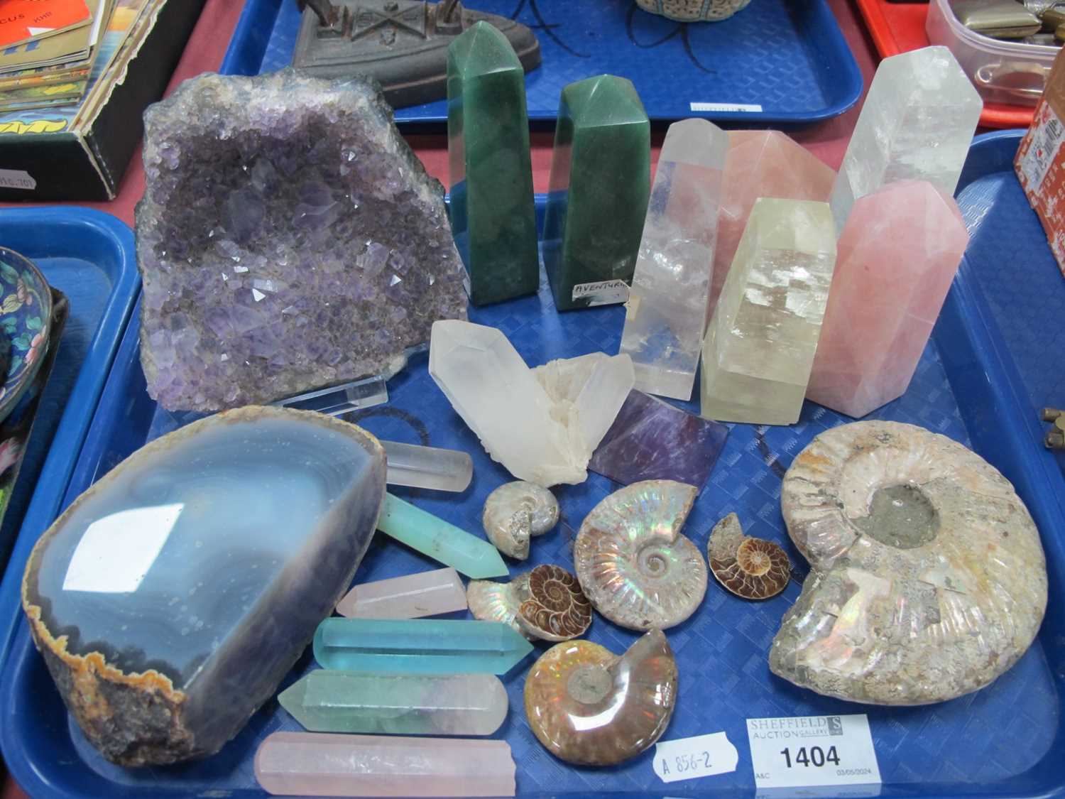 Lot 1404 - Ammenites, amethyst geode, mineral samples,