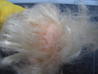 Lot 301 - Assortment of Sindy and Similar dolls and...