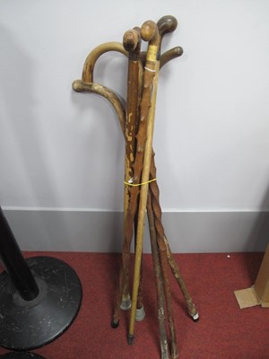 Lot 1360 - Knobbly Cane and Barley Twist Walking Sticks...