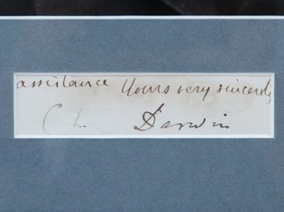 Lot 1355 - Charles Darwin Autograph, black ink signed...