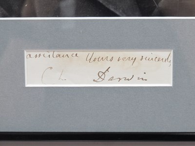 Lot 1355 - Charles Darwin Autograph, black ink signed...