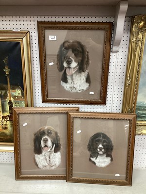 Lot 1477 - Denise G. Sizer? Dog Studies, in pastel, each...