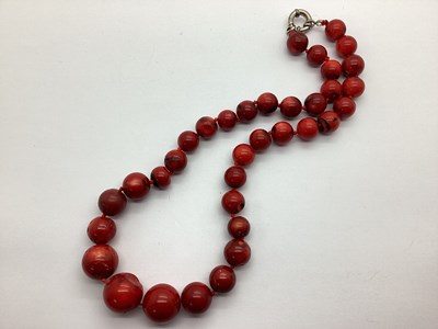 Lot 256 - A Modern Red Coral Graduated Single Strand...