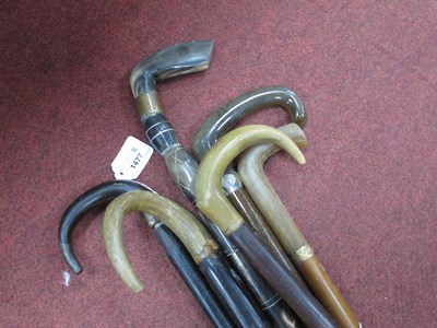 Lot 1477 - Six Horn Handled Walking Canes. (6)