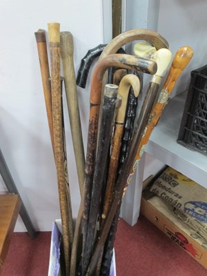 Lot 1469 - Sixteen Various Walking Canes. (16) conditions...