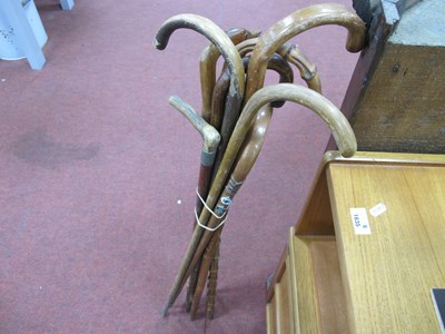 Lot 1388 - Six Crook Handled Walking Canes, horn and dog...