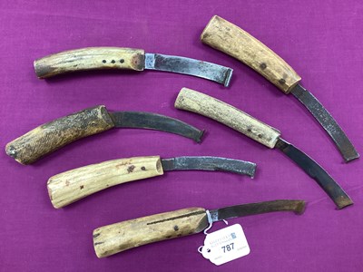 Lot 787 - Timber Scribes, horn / bone handled. (6)