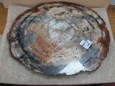 Lot 1369 - A large piece of Petrified wood from Arizona,...