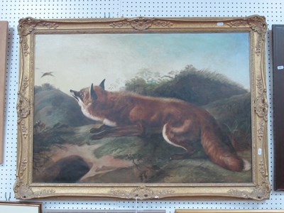 Lot 1564 - Early XX Century Oil on Canvas of a Fox on a...