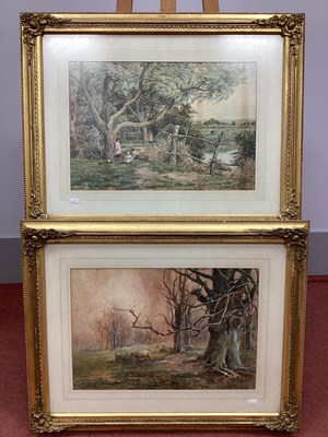 Lot 1206 - FRANK CLIFFORD (Fl.1900) 
Sheep in a Wooded...