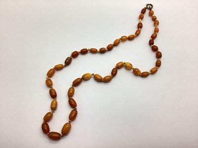 Lot 92 - A Graduated Amber Colour Single Strand Bead...