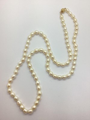 Lot 84 - A Modern Long Single Strand Freshwater Pearl...