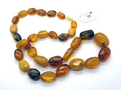 Lot 77 - A Long Graduated Single Strand Multi Amber...