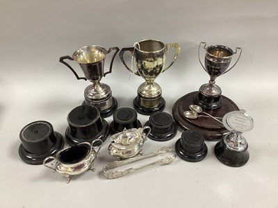 Lot 6 - Plated Trophy Cups, including fishing and...