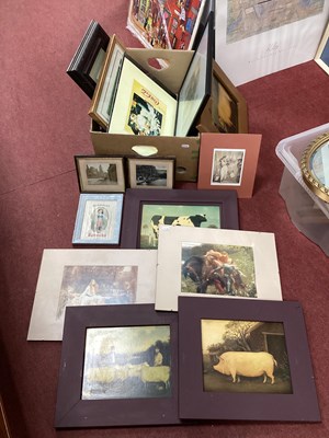 Lot 1474 - XIX Century Style Prints of Cows, Pig, early...