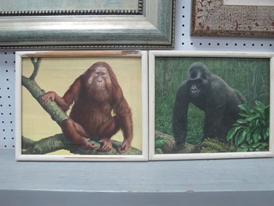 Lot 1445 - XX Century School, Mountain Gorilla, oil on...