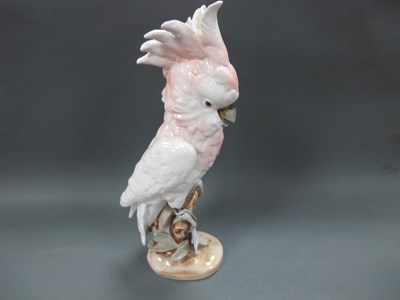 Lot 1149 - Royal Dux Figurine of a Cockatoo, with red...