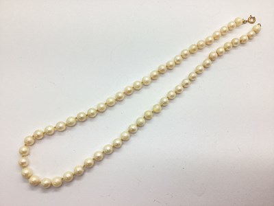 Lot 107 - A Freshwater Pearl Bead Necklace, each bead...