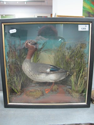 Lot 1369 - Taxidermy - Duck in Naturalistic setting and...