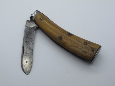 Lot 104 - Flat Bottom Pruner, horn scales, 11cm.