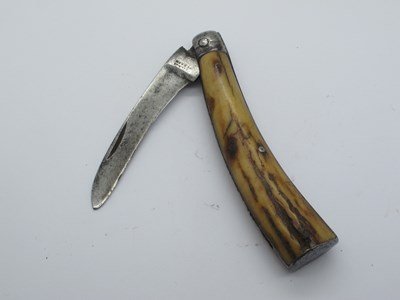 Lot 60 - Flat Bottom Pruner, Hexham, stag scales, 10.5cm.