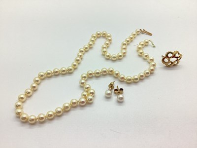 Lot 149 - A Freshwater Pearl Bead Necklace, the uniform...