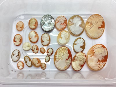 Lot 107 - A Collection of Loose Carved Cameo Panels, all...