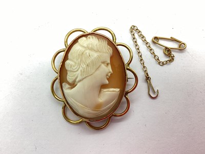 Lot 67 - A Carved Shell Cameo Panel Brooch, the oval...