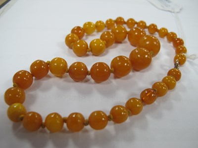 Lot 156 - A Single Strand Amber Coloured Bead Necklace,...