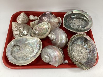 Lot 1408 - A Quantity of Mother of Pearl Shells to...