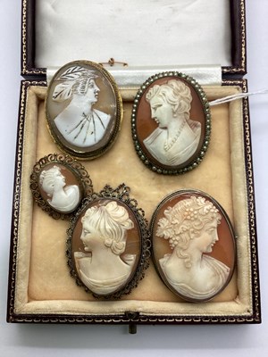 Lot 175 - A Collection of Vintage Cameo Brooches, each...
