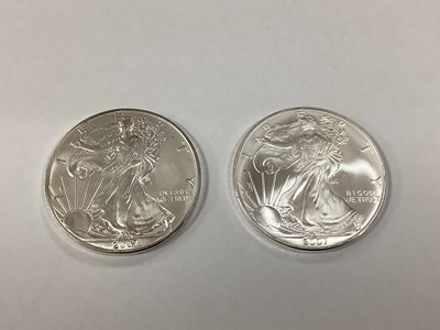 Lot 603 - Two 2007 USA One Ounce Fine Silver Dollars.