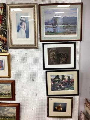 Lot 1531 - Sheena Mcall Signed Pastel of two Dogs, Rose...