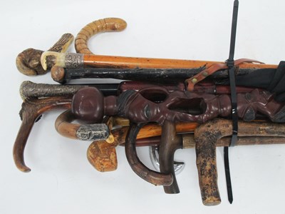 Lot 1455 - A collection of various walking sticks to...