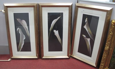 Lot 1495 - Lependorf 'Calla Lilies', three coloured...