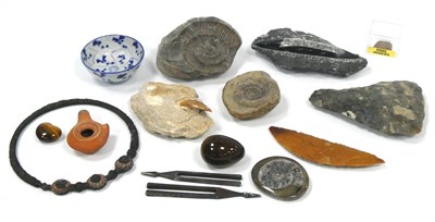 Lot 1290 - An Interesting Collection of Fossils, to...