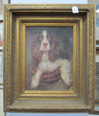 Lot 1562 - Late XX Century Print of Spaniel Dog, in gilt...
