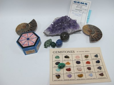 Lot 1450 - Ammonites (x 2), Amethyst Geode, Hexagonal...