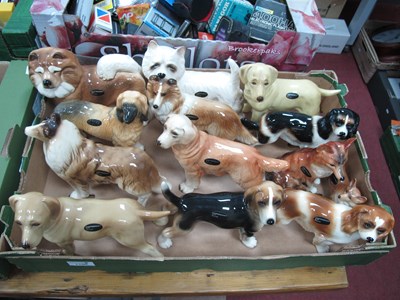 Lot 1100 - Coopercraft Pottery Dogs, varying breeds (13).