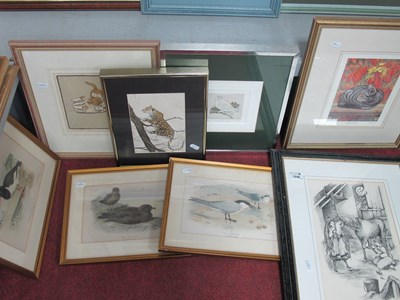 Lot 1548 - After Archibald Thorburn, sea bird lithographs...