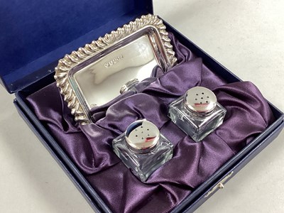 Lot 13 - A Hallmarked Silver Miniature Salt and Pepper...