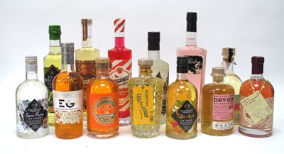 Lot 1507 - Gin - A Collection of Assorted Gins and Gin...