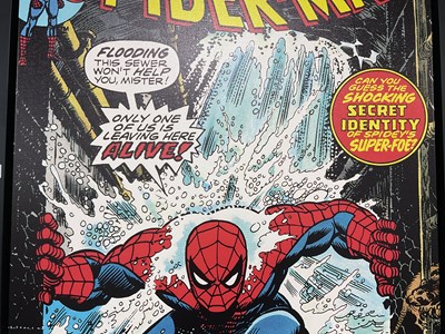 Lot 314 - The Amazing Spider-Man #151 Only One Of Us...
