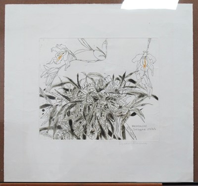 Lot 1141 - AFTER DAME ELIZABETH BLACKADDER (1931-2021)...